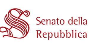 I Commissione Affari Costituzionali Senato - Audizione SIAP