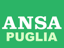 Ansa Puglia - Brindisi, SIAP: non è più rinviabile l\'apertura di nuovi presidi di polizia