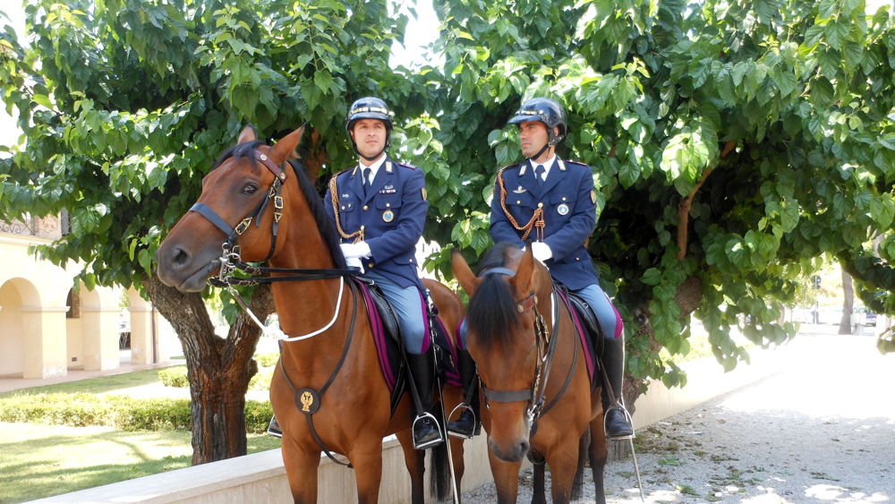 32° Corso di specializzazione per Cavalieri