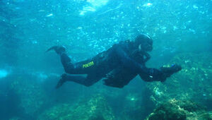 Selezione personale PS per 63° corso specializzazione operatore subacqueo fino 39 mt - rimodulazione posti a concorso