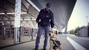 23° Corso per conduttore cinofilo antiesplosivo e 30° corso per conduttore cinofilo antidroga