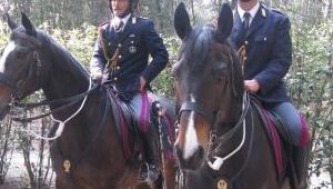 4° corso di abilitazione per maniscalco- selezione personale-